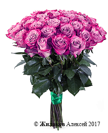 ����� 35 ��� ��� �����