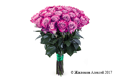 ����� 35 ��� ��� �����