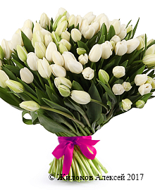 ����� 101 ����������� �������, �����