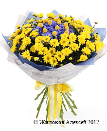 ����� �������� ����