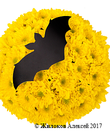 ���������� ����������