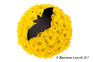 ���������� ����������