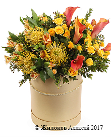 ����� ������� ��������� � ������� �������