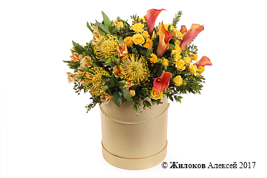 ����� ������� ��������� � ������� �������