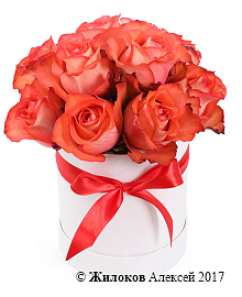 ����� ���� ����� ���� � ������� �������