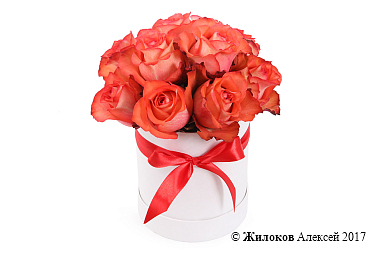 ����� ���� ����� ���� � ������� �������