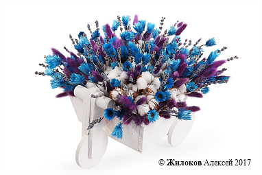 ���������� ����� ���� � �����