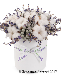 ����� � �������� ������ � ������� � ������� �������