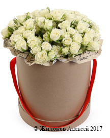 ����� ������� ������� � ������� �������