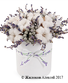 ����� � �������� ������ � ������� � ������� �������