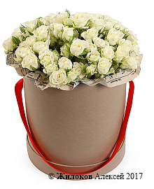 ����� ������� ������� � ������� �������