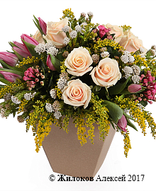 ���������� ������� ������� � �����