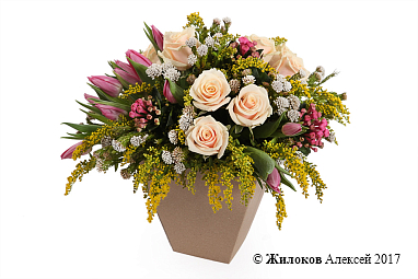 ���������� ������� ������� � �����