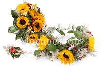 ��������� �������� ����