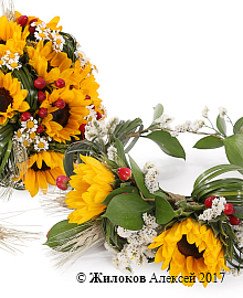 ��������� �������� ����