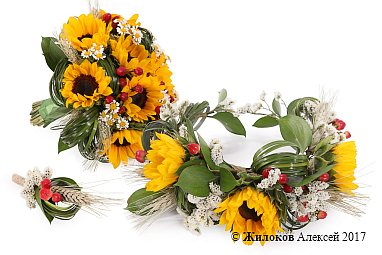 ��������� �������� ����