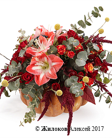 ���������� ������� ����� � �����