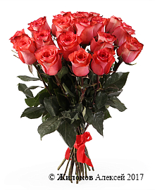 ����� 21 ���� ������, ����������