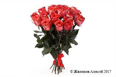 ����� 21 ���� ������, ����������