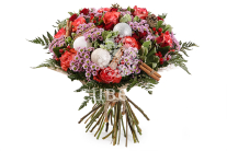 ����� ��� � �����