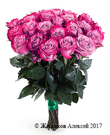 ����� 25 ��� ��� �����