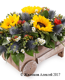 ���������� � ������������ ��������� ���� � �����