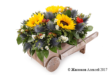 ���������� � ������������ ��������� ���� � �����