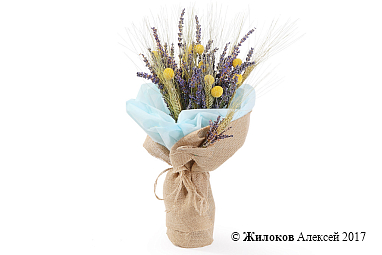 ����� � �������� �������� �����