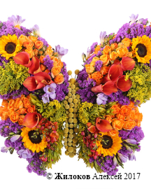 ���������� �������