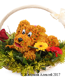 ���������� ��� ������