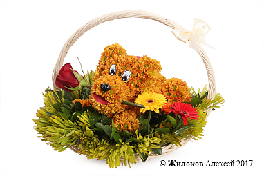 ���������� ��� ������