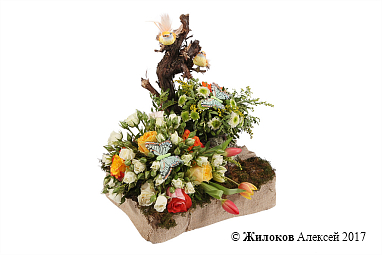 ���������� ������ ������