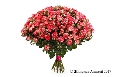 ����� 19 �������� ��� ���� �����