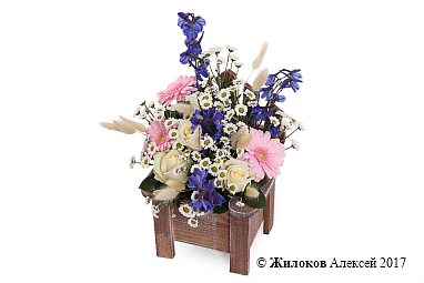 ���������� ������ ���� � �����