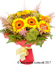 ����� ������� ���������