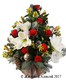 ����� ������ ����