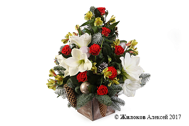 ����� ������ ����