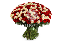 ����� 201 ���� ����