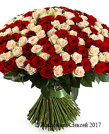 ����� 201 ���� ����