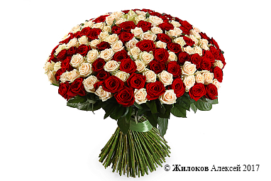 ����� 201 ���� ����