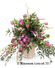 ����� ������ ������