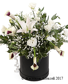 ����� � ������� �������� �������� � ������� �������