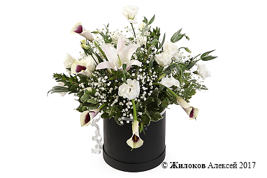 ����� � ������� �������� �������� � ������� �������