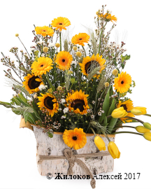 ����� ��������� ���