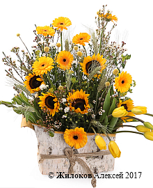 ����� ��������� ���