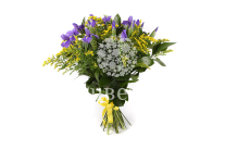 ����� � ������� ����� � �������