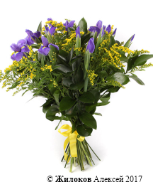 ����� � ������� ����� � �������