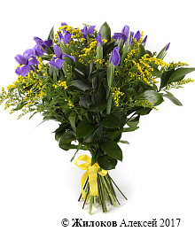 ����� � ������� ����� � �������