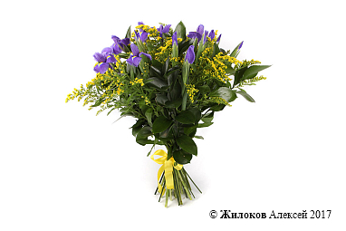 ����� � ������� ����� � �������