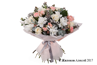 ����� �������� ��������